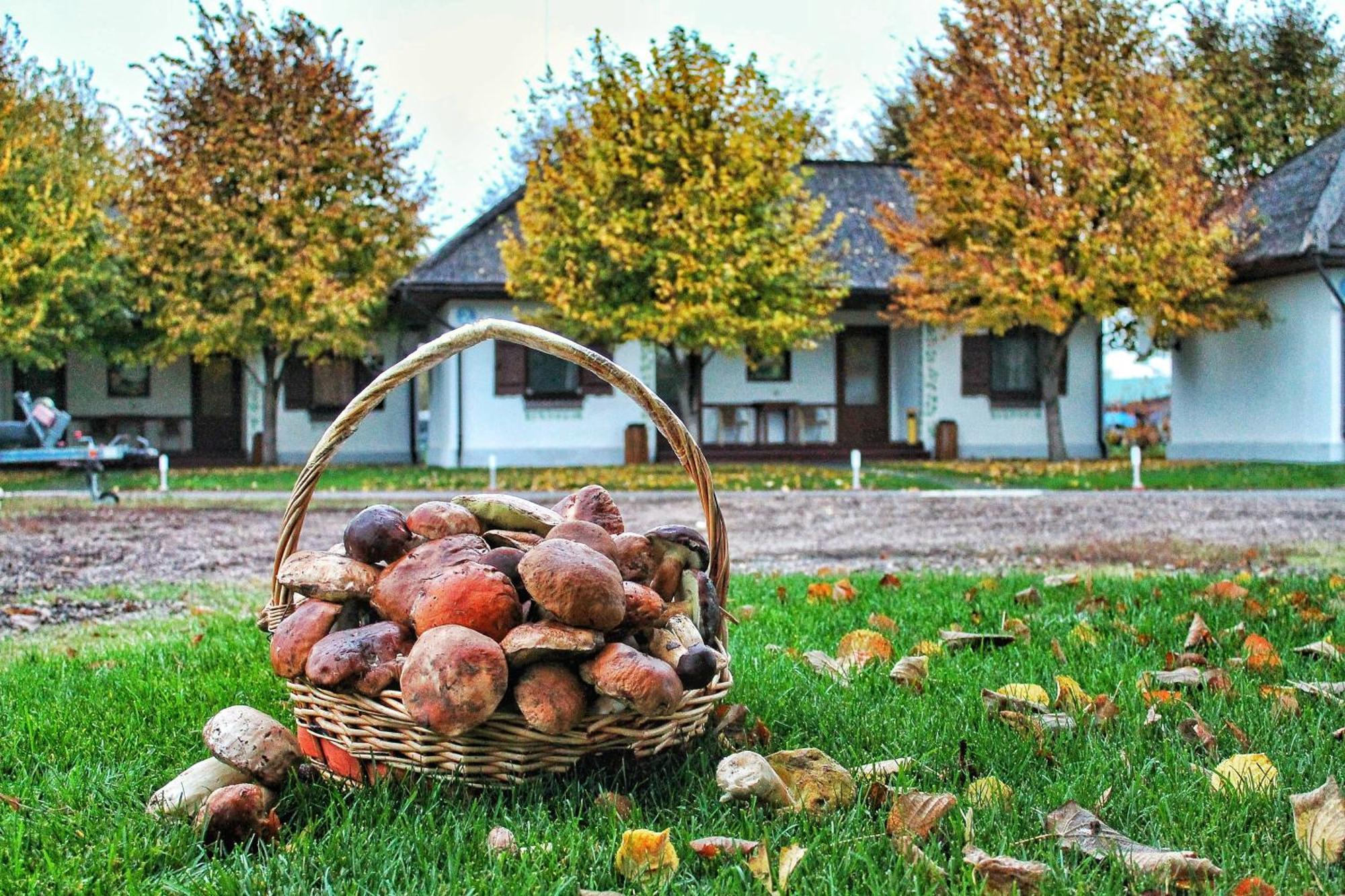 Bereg Holiday Park Svetlogorskoye Exterior foto