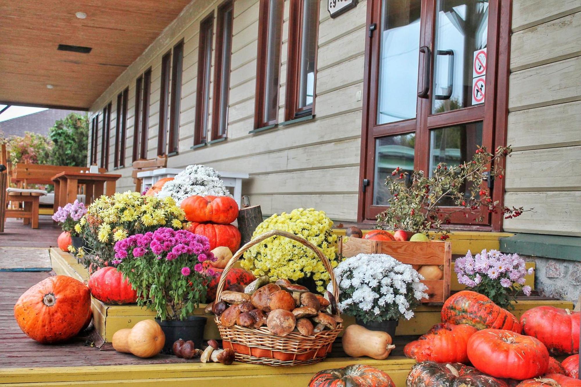Bereg Holiday Park Svetlogorskoye Exterior foto